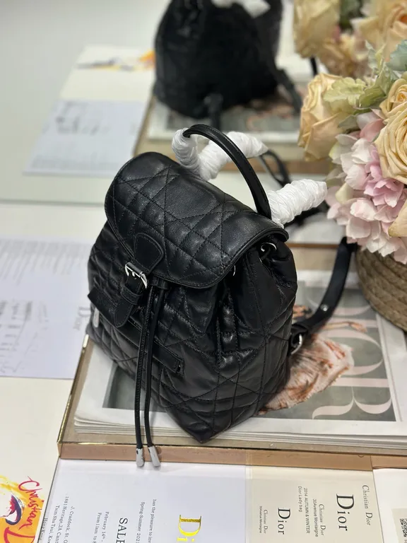 Dior Bag 